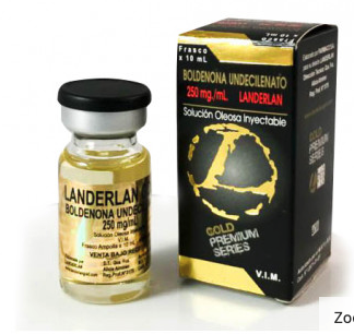 Boldenona landerlan gold