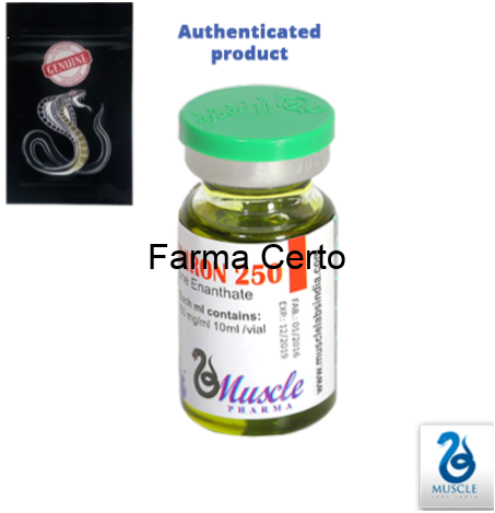 Enantato de Testosterona Muscle pharma